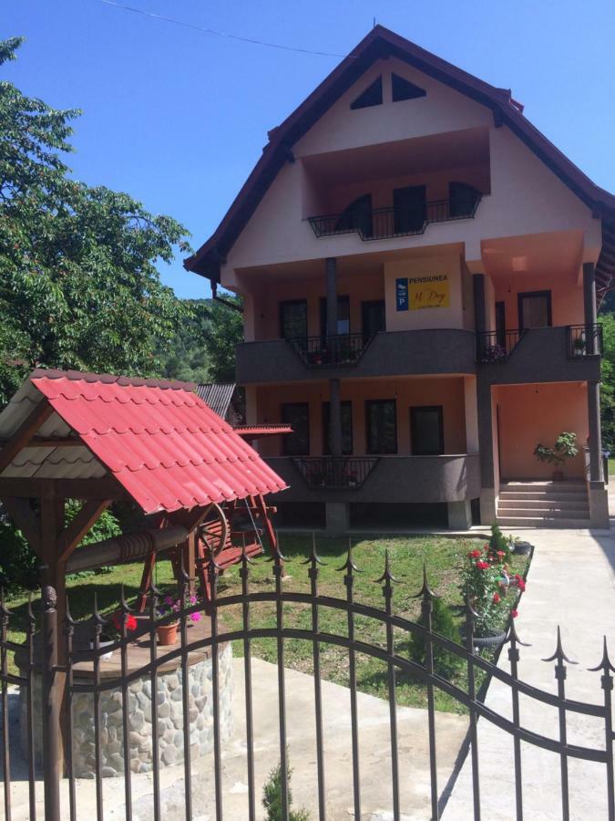 M Dey Hotel Viseu de Sus Exterior photo